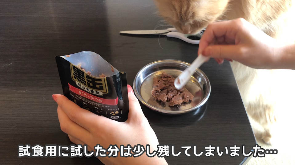 実食！】黒缶 まぐろとかつお総合栄養食の徹底レビュー！ - ねことぼく